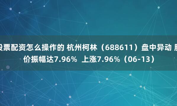 股票配资怎么操作的 杭州柯林（688611）盘中异动 股价振幅达7.96%  上涨7.96%（06-13）