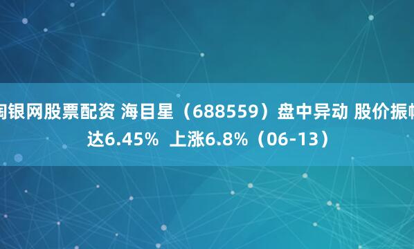 淘银网股票配资 海目星（688559）盘中异动 股价振幅达6.45%  上涨6.8%（06-13）