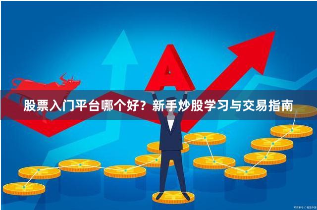 股票入门平台哪个好？新手炒股学习与交易指南