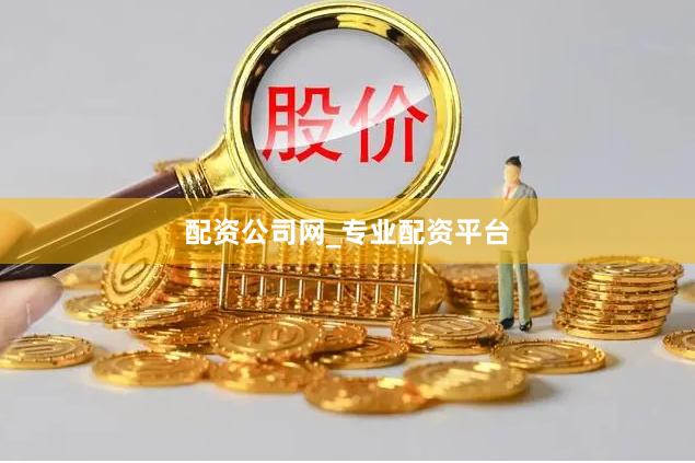 配资公司网_专业配资平台