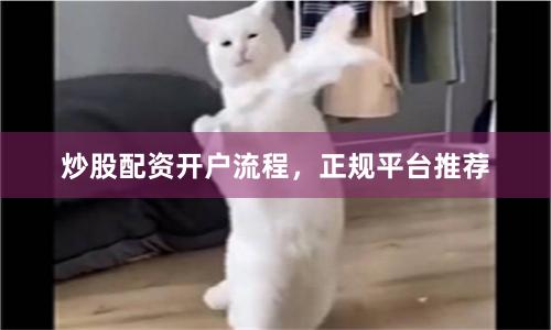 炒股配资开户流程，正规平台推荐